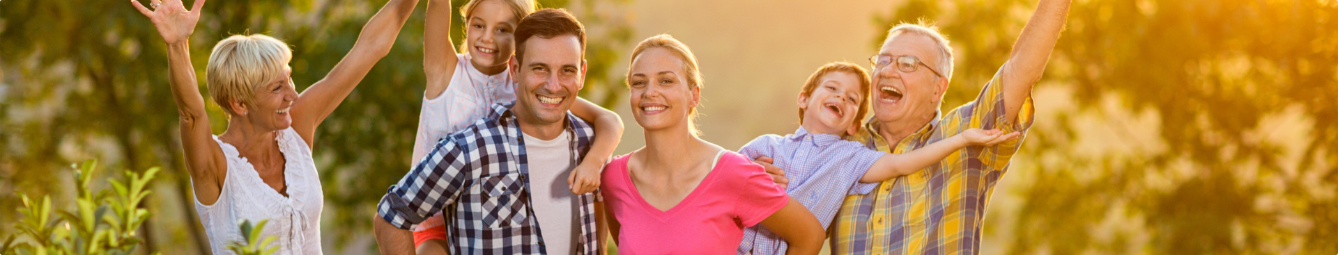 Product options guide banner